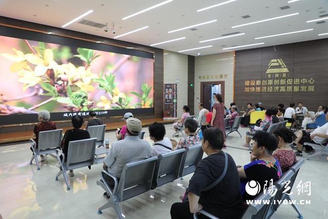 宜君：“康养+旅游”激发药谷新活力(图6)