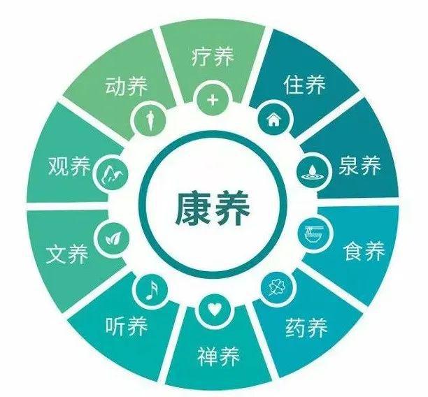 探索“旅游+康养” 产业运营模式：数字化如何为康旅产业运营带来增量收益？(图10)