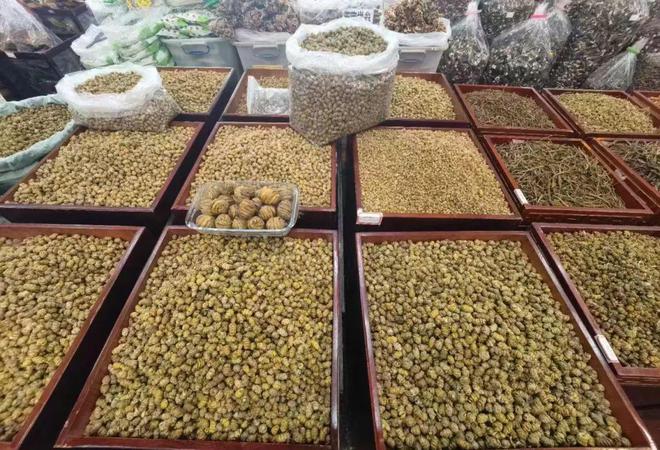 专家观点｜中医药康养产业需旅游催化与加持(图5)