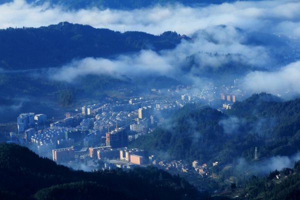 中药材赋能桂东培育康养旅游新业态——写在2024中医药产业与文旅康养创新融合发展(桂东)会议召开之际(图1)