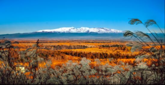 长白山景区接待游客突破27484万人次长白山秋季旅游持续火爆(图1)