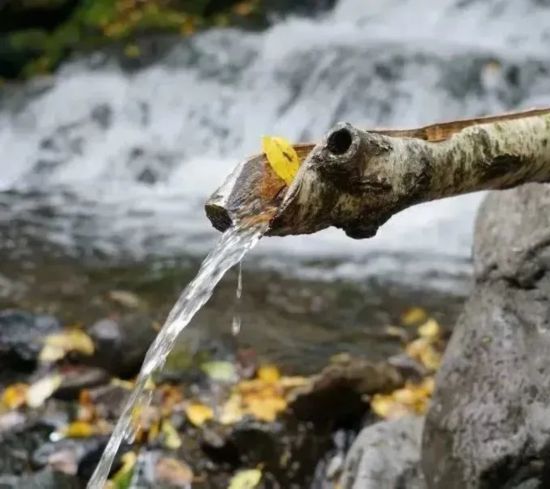 长白山景区接待游客突破27484万人次长白山秋季旅游持续火爆(图7)