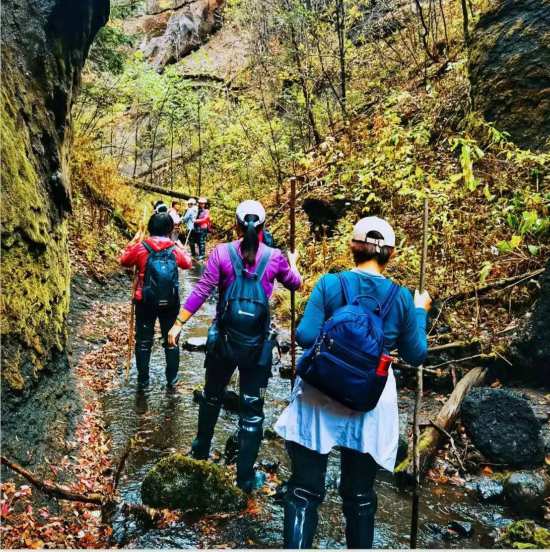 长白山景区接待游客突破27484万人次长白山秋季旅游持续火爆(图6)