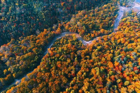 长白山景区接待游客突破27484万人次长白山秋季旅游持续火爆(图14)