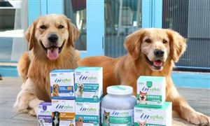 z6尊龙平台：2024我国旅游行业现状分析：春节期间出游人次和出游总花费等多项指标创历史新高(图3)