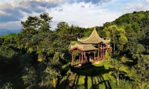 z6尊龙平台：2024我国旅游行业现状分析：春节期间出游人次和出游总花费等多项指标创历史新高(图4)