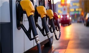 旅游经济跑出复苏加速度2024旅游产业未来市场展望分析(图11)