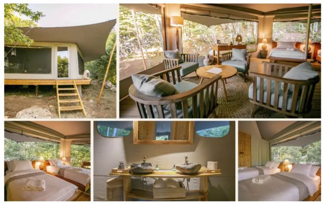 现场COTTM2024：高端游、康养游、深度中亚游…出境游趋势前瞻(图6)