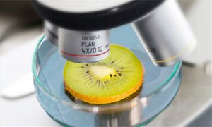 旅游行业发展预测分析2024年国内游将突破60亿人次(图4)