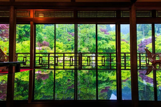 探索嬉野温泉魅力共瞻康养旅游未来(图3)