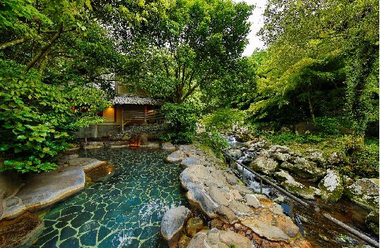 探索嬉野温泉魅力共瞻康养旅游未来(图4)