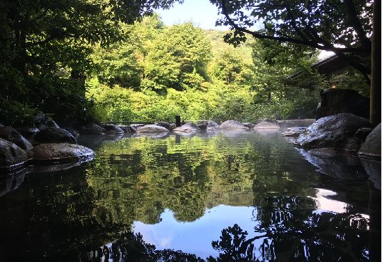 探索嬉野温泉魅力共瞻康养旅游未来(图5)