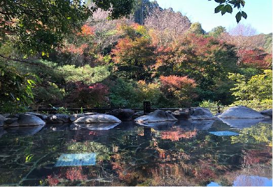 探索嬉野温泉魅力共瞻康养旅游未来(图6)