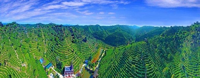 即将开幕！2024年广西文化旅游发展大会亮点抢先看(图2)