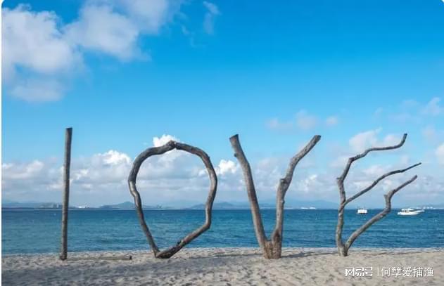 z6尊龙平台：一月搞定海南户口！海南引进人才户口条件及2024政策(图1)