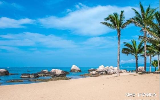 z6尊龙平台：一月搞定海南户口！海南引进人才户口条件及2024政策(图3)