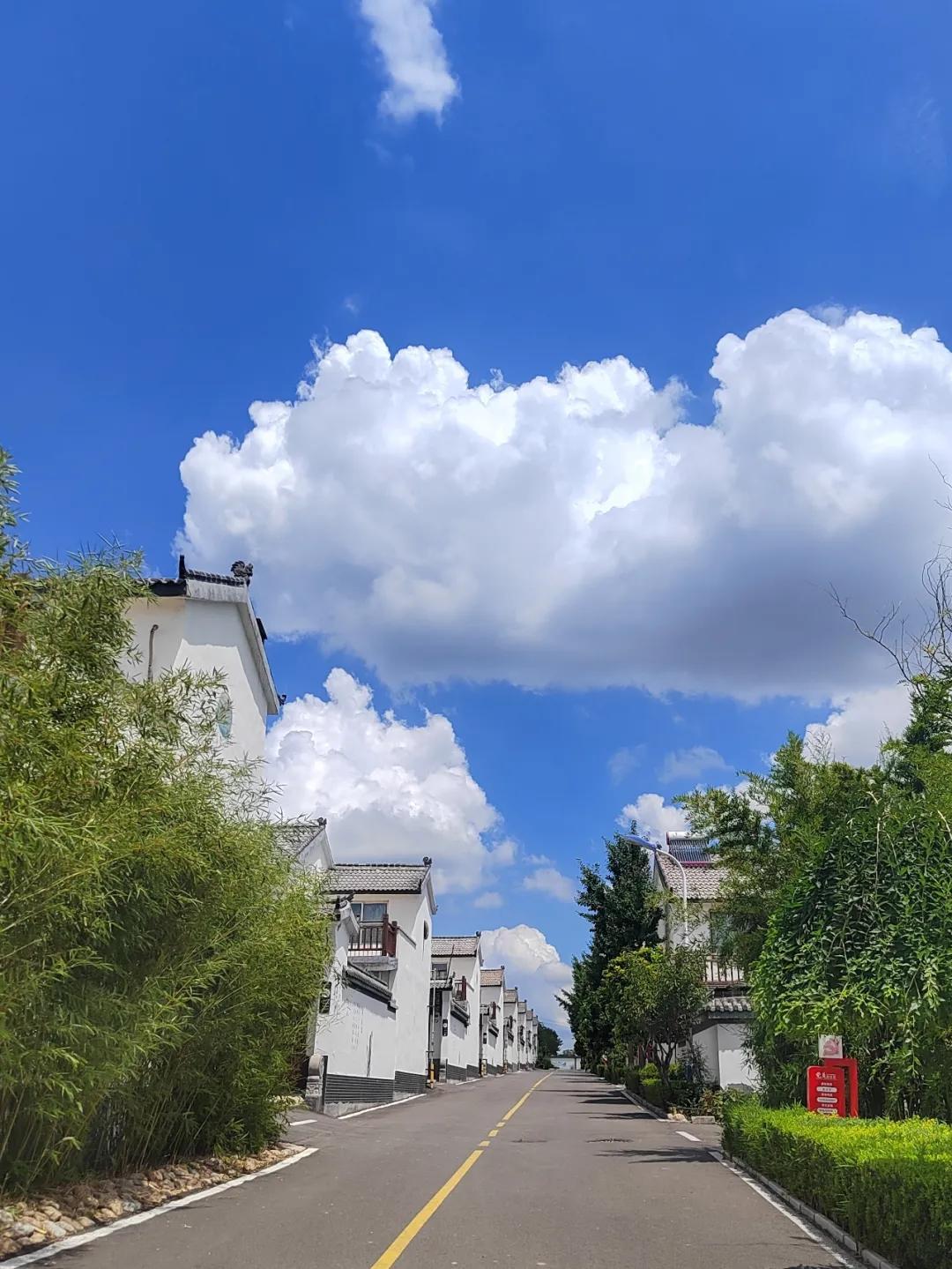 入选旅游助力乡村振兴“世界样板”！山东这3地缘何摘取这份荣誉(图4)