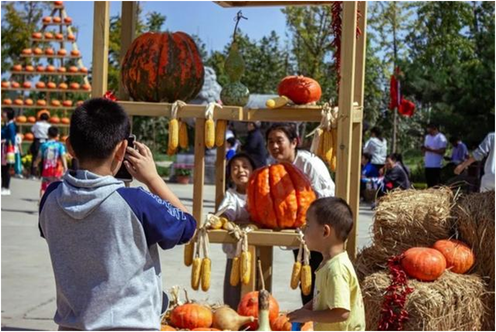 入选旅游助力乡村振兴“世界样板”！山东这3地缘何摘取这份荣誉(图5)