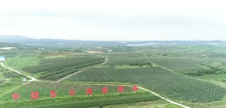 入选旅游助力乡村振兴“世界样板”！山东这3地缘何摘取这份荣誉(图7)