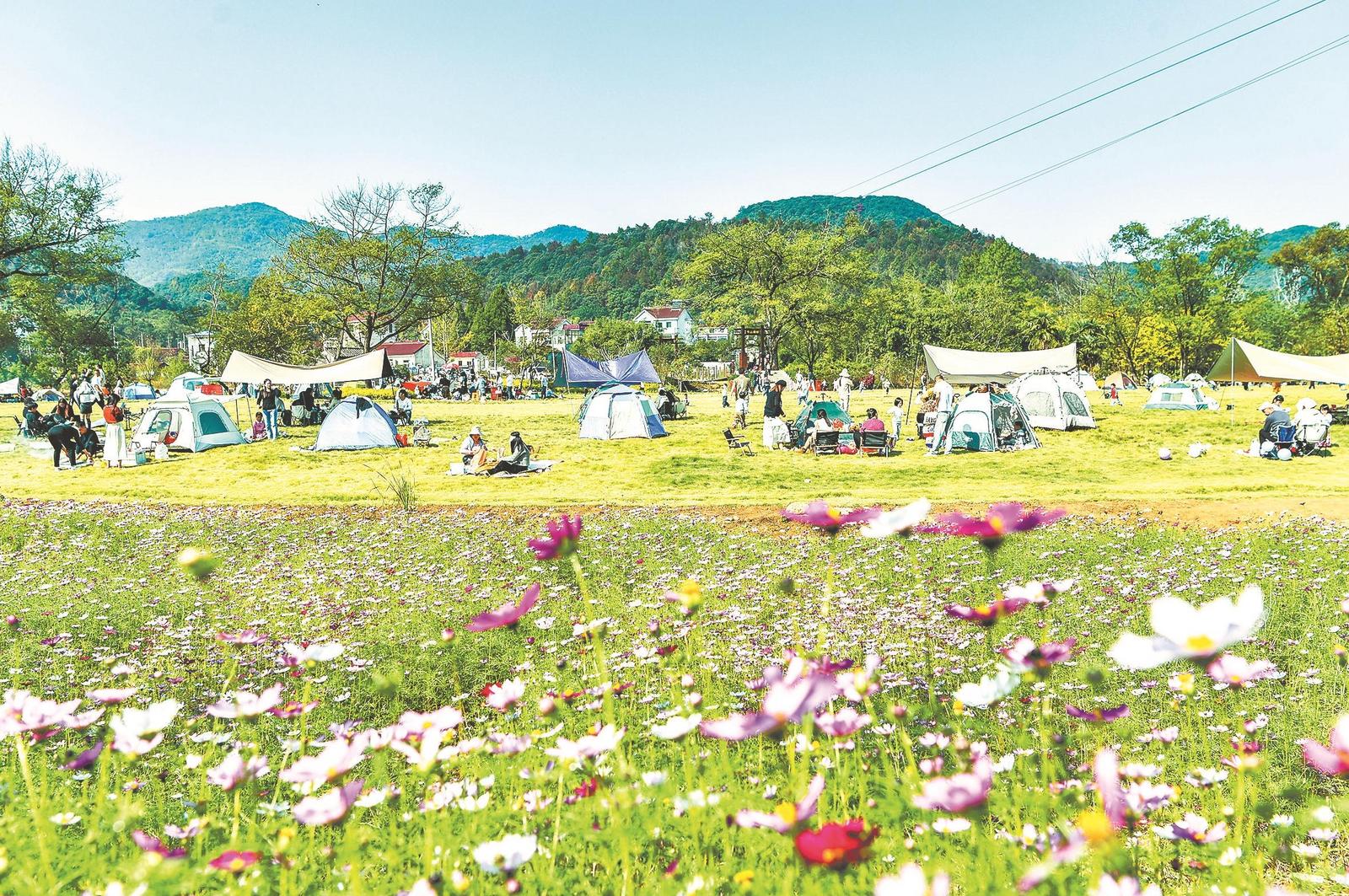 安徽省依托丰富的自然资源和深厚的文化底蕴扎实推进乡村全面振兴助力实现农业强、农村美、农民富(图2)