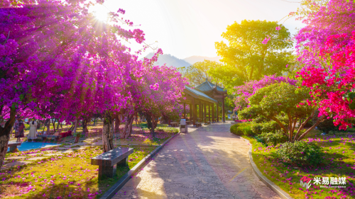 z6尊龙平台：康养旅游(图2)