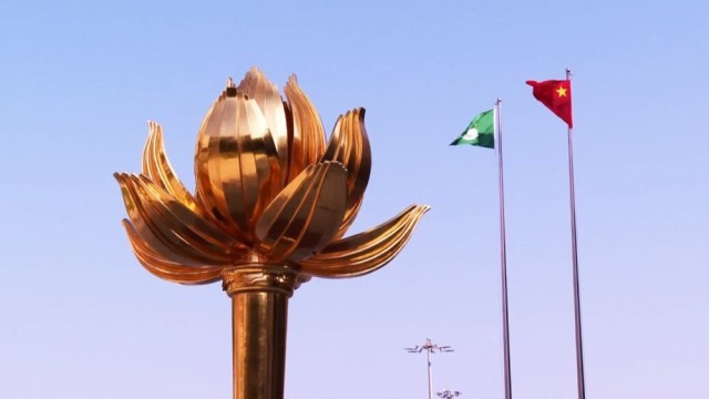 澳门回归祖国25周年丨澳门的文旅吸引力为何强大(图1)