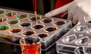 2024旅游行业现状调研：我国旅游需求呈现新的市场动能(图5)