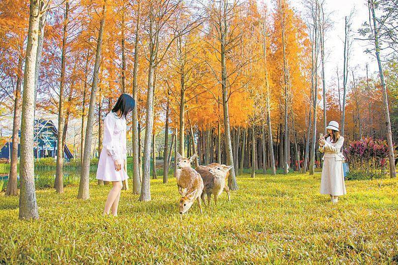 z6尊龙入口：文旅热燃动2024九大“标签热词”回顾全年(图1)