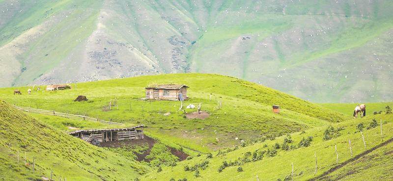 z6尊龙入口：文旅热燃动2024九大“标签热词”回顾全年(图8)