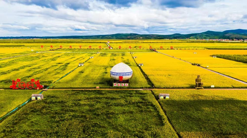 z6尊龙平台：舒兰新米广流通——探寻小城大米行销市场的多元密码(图1)