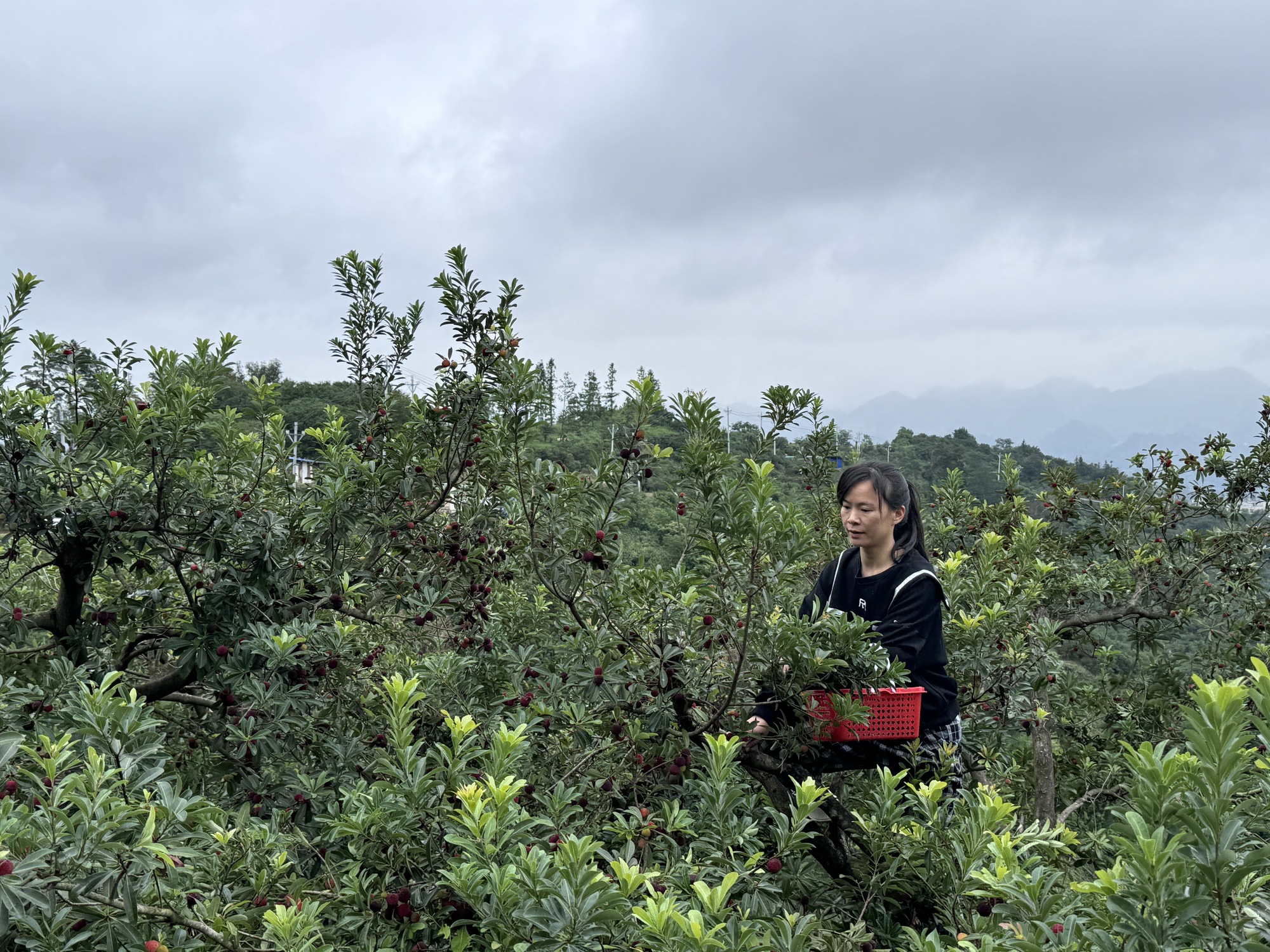 擦亮“中国天眼·研学首选”品牌打造“国际天文研学旅行目的地”——贵州省平塘县2024年旅游产业高质量发展关键词(图5)