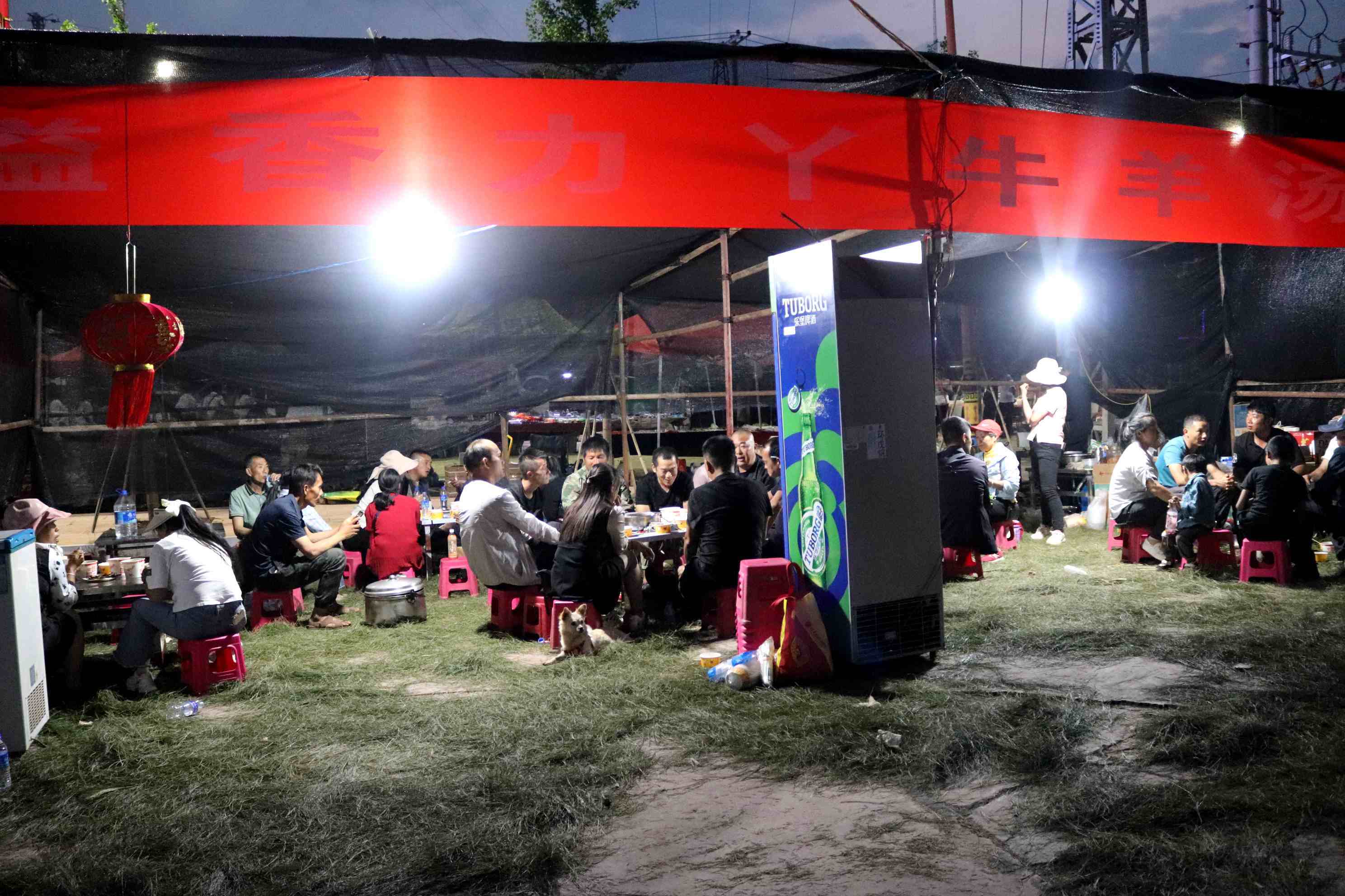 云南·爱尼山2024云药康养文化旅游活动成功举办(图8)