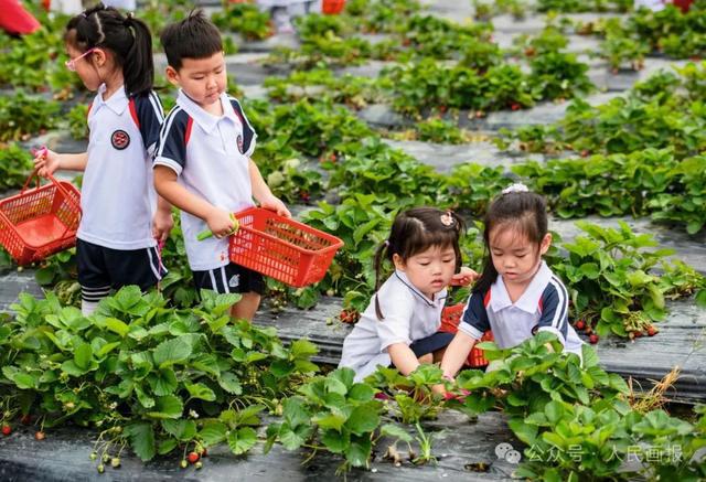 2024文旅产业新潮涌动(图3)