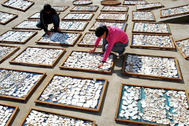 英山抢抓银发经济“康养+”蹚出新范式(图4)