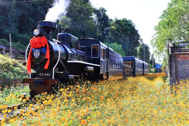 环城跑、舞龙灯、怀旧小火车……当元宵节与森林康养小城相遇(图4)