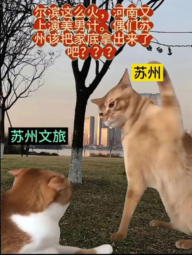 z6尊龙入口：“美男计”、王一博……河南文旅凌晨2点还在“卷”但“听劝”之后呢？(图7)