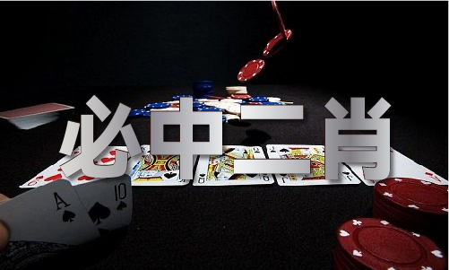 2024年输尽光全年资料(图1)