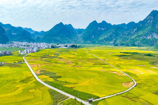 z6尊龙·中国网站：凌云：实干创新双轮驱动绘就高质量发展新图景(图2)