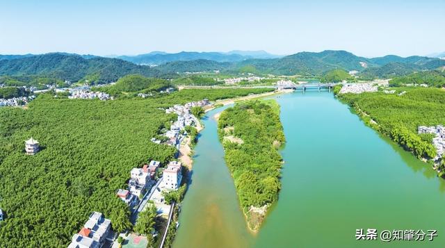 广宁经济增速领跑全市绘就高质量发展新篇(图1)