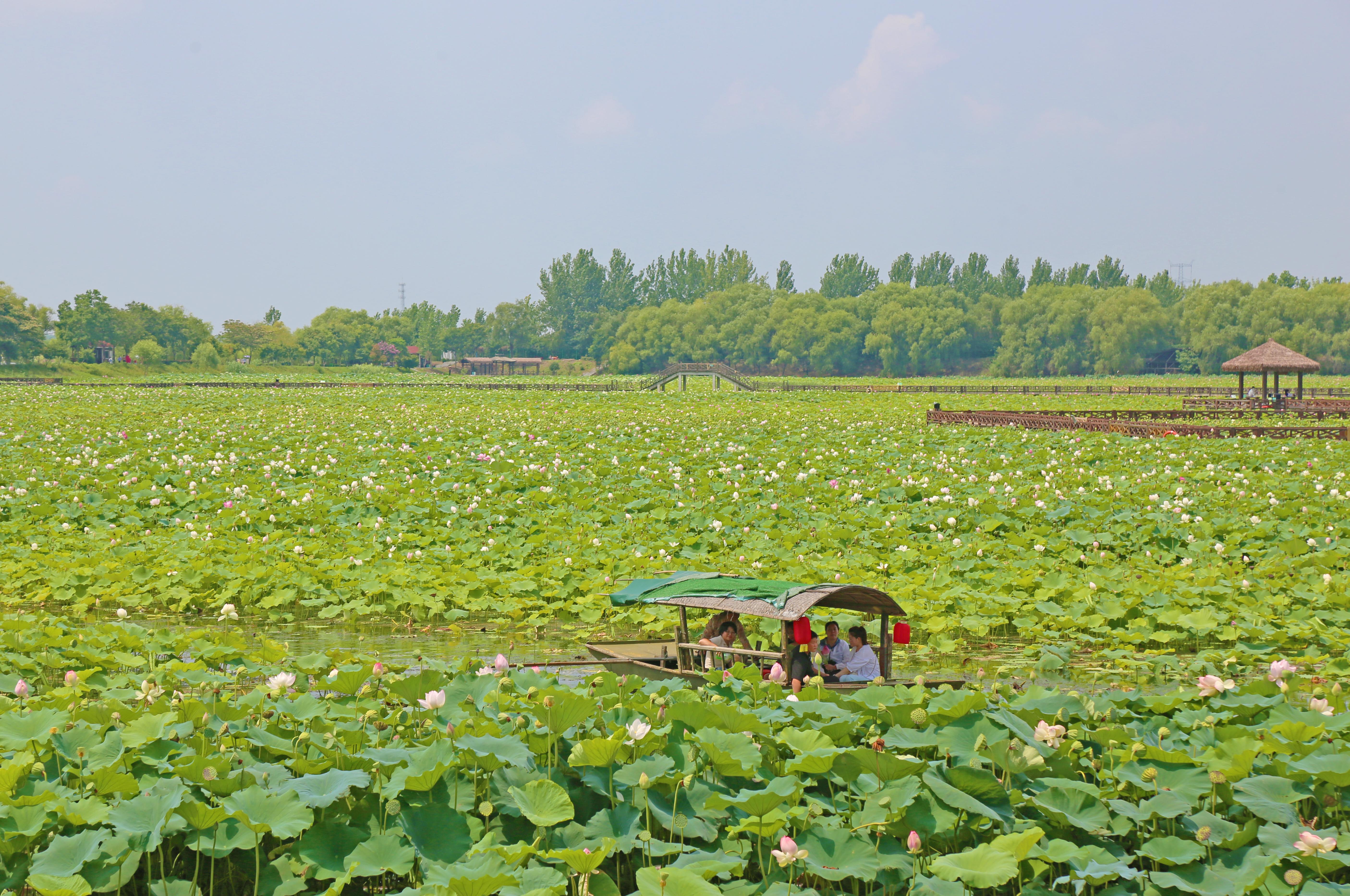 从毛集的“三滴水”看皖北文旅消费新场景(图1)