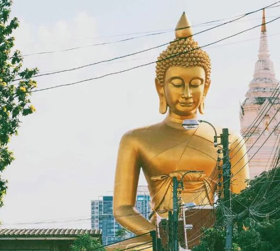 当王星说出“泰国很安全”后泰国没想到旅游业崩的这么快(图14)