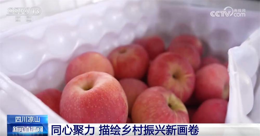 “硬骨头”立足实际按下产业发展“快进键”乡村振兴新画卷徐徐铺展(图4)