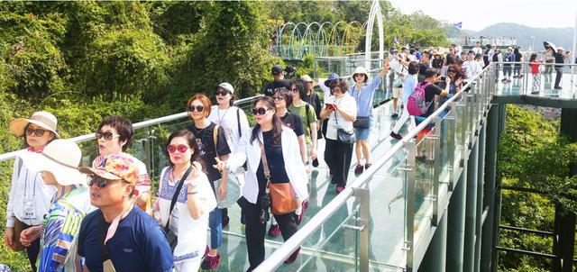 三亚迎来2025年首个大型韩国入境团(图1)
