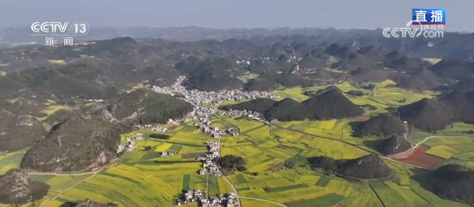 从“种庄稼”到“种风景”农文旅融合让村民鼓起“钱袋子”(图1)