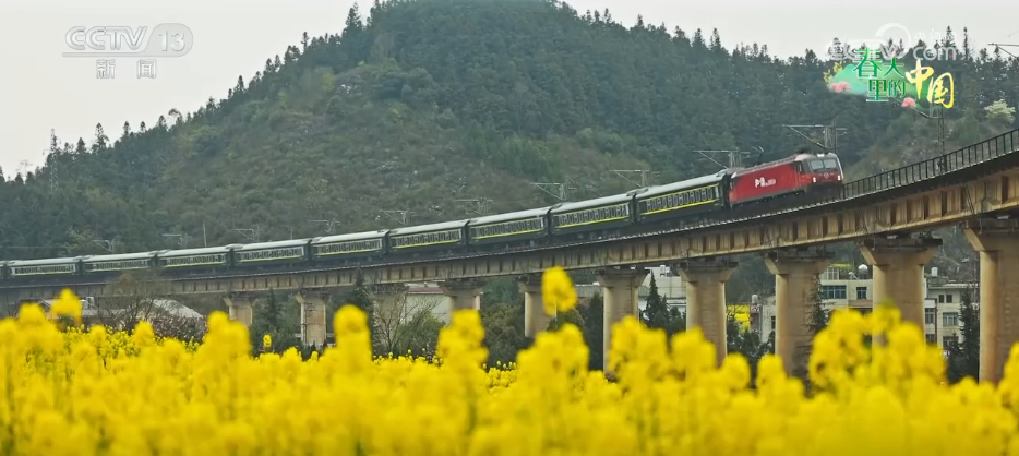 从“种庄稼”到“种风景”农文旅融合让村民鼓起“钱袋子”(图7)