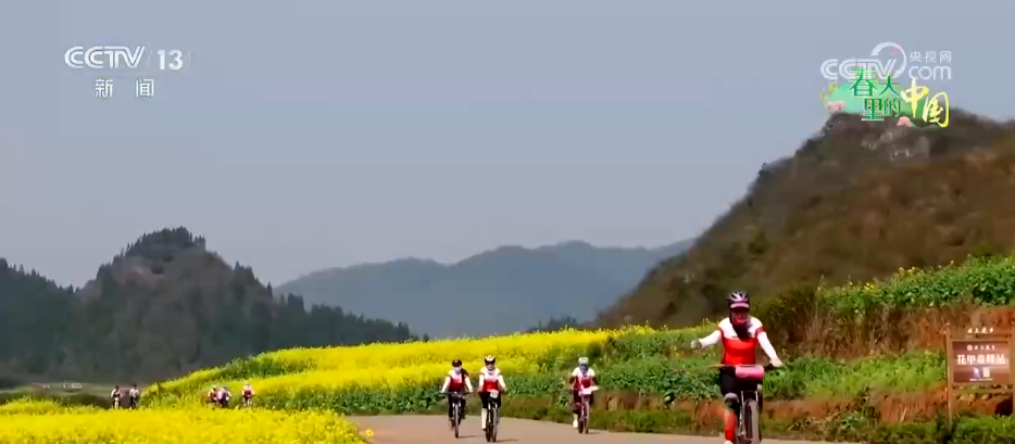 从“种庄稼”到“种风景”农文旅融合让村民鼓起“钱袋子”(图8)