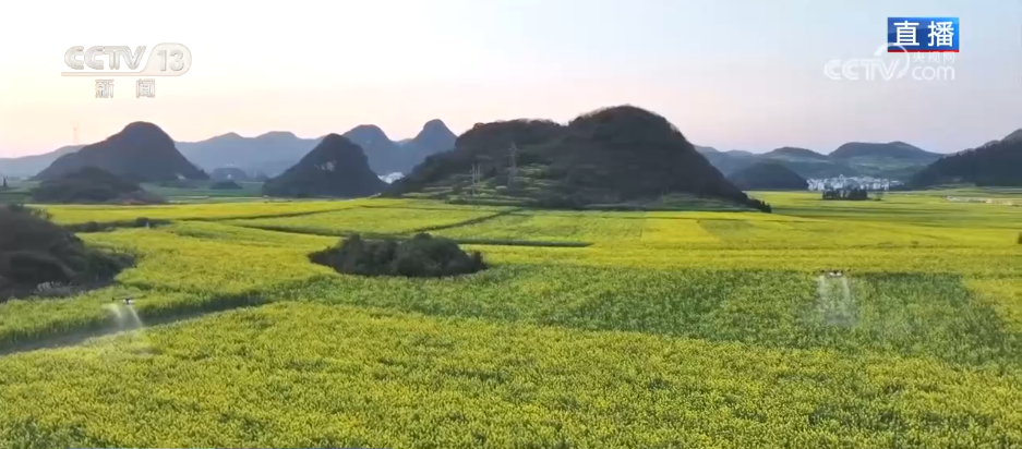 从“种庄稼”到“种风景”农文旅融合让村民鼓起“钱袋子”(图4)