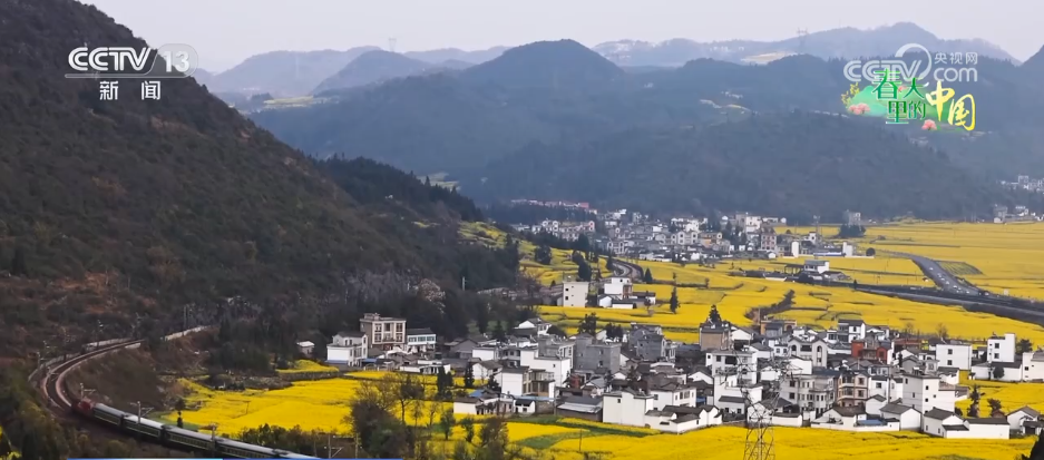 从“种庄稼”到“种风景”农文旅融合让村民鼓起“钱袋子”(图5)