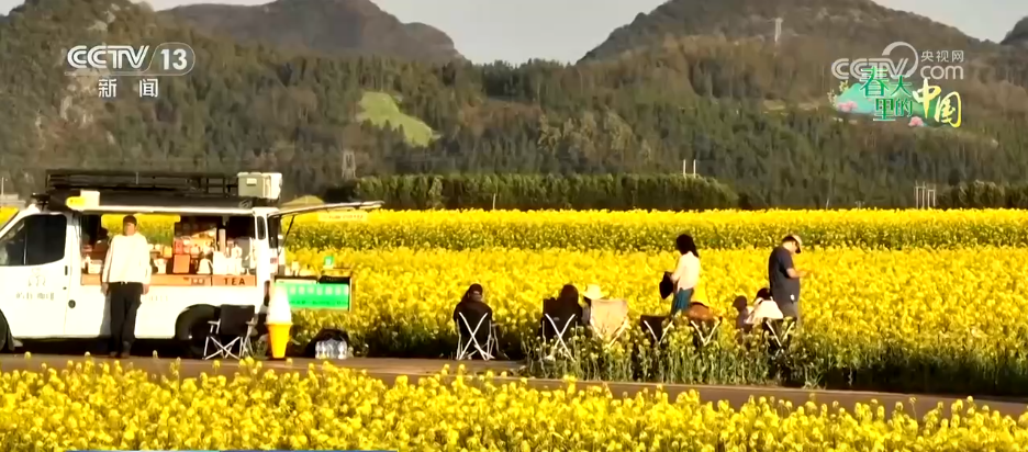 从“种庄稼”到“种风景”农文旅融合让村民鼓起“钱袋子”(图6)