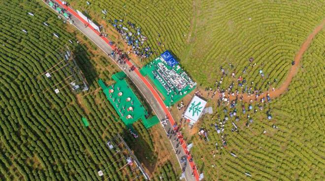 铜陵市郊区：以文塑旅、以旅彰文绘就全域旅游新画卷(图2)